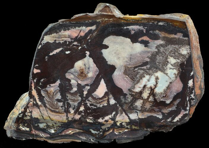 Polished Outback Jasper - Western Australia #65669